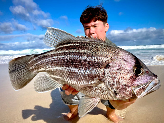 The Ultimate Guide to Drone Fishing in Perth