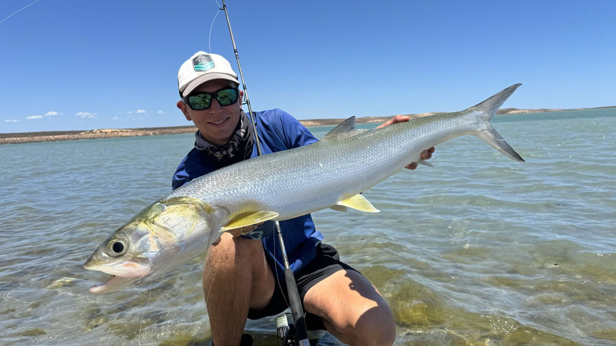 Angler wading a shallow sand flat holding a big giant herring