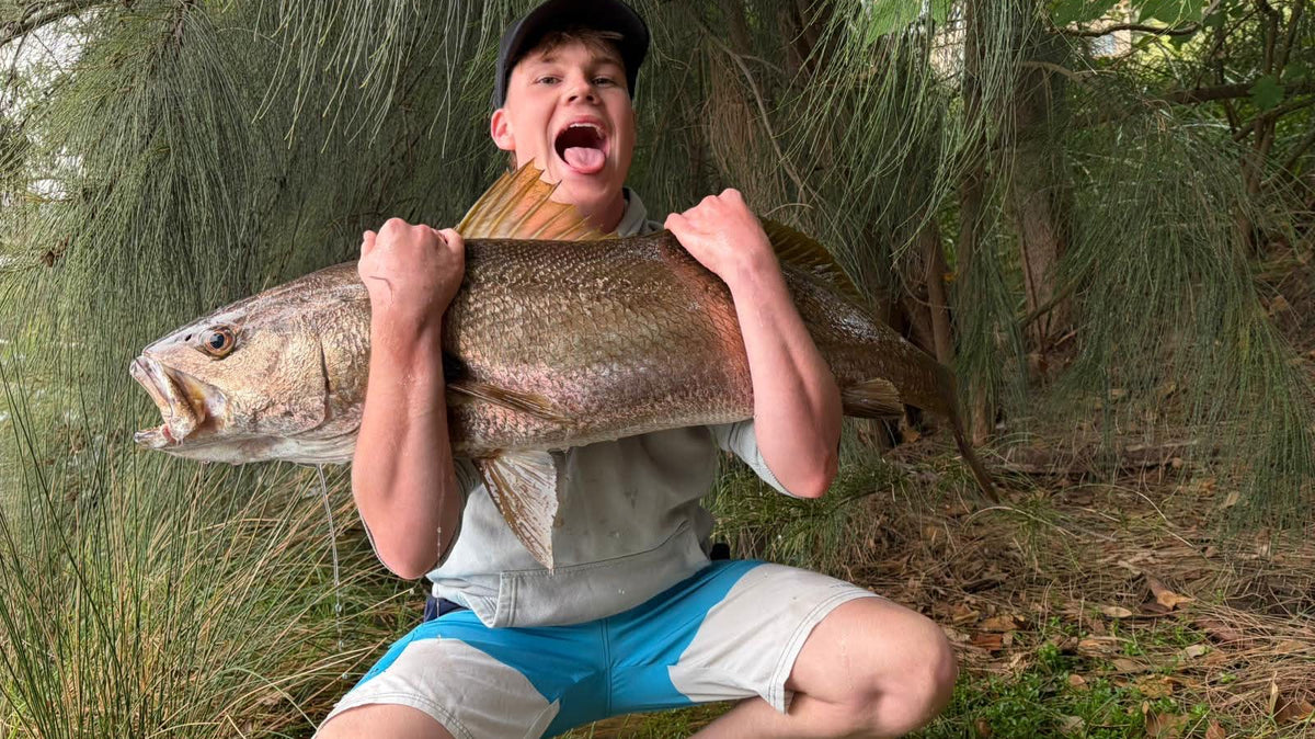 A trophy mulloway caught in a Perth river