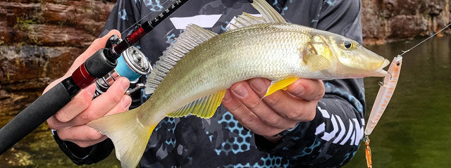 How to Catch Whiting: The Complete Whiting Fishing Guide