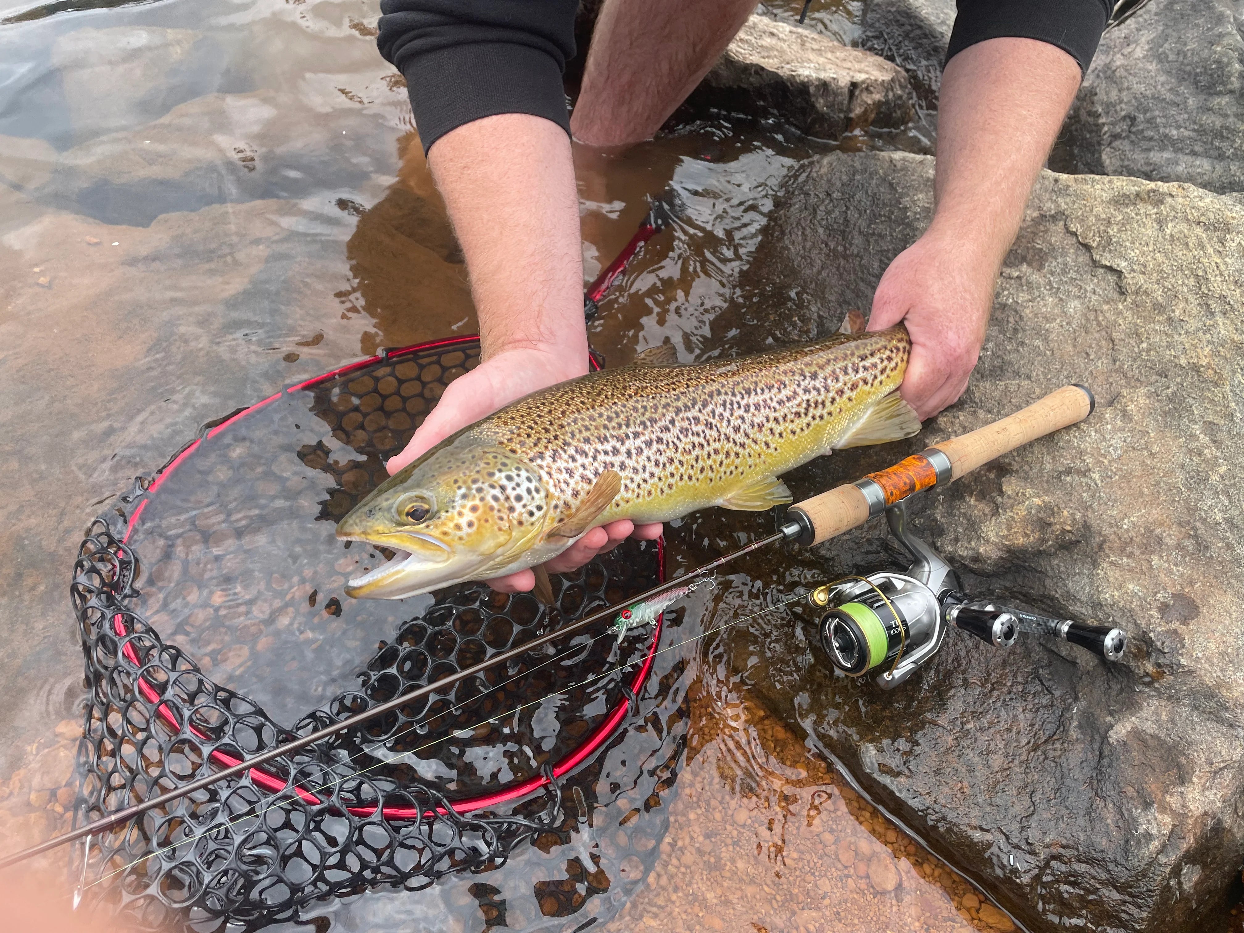 Razor Edge Backwater Revelation BR52UL