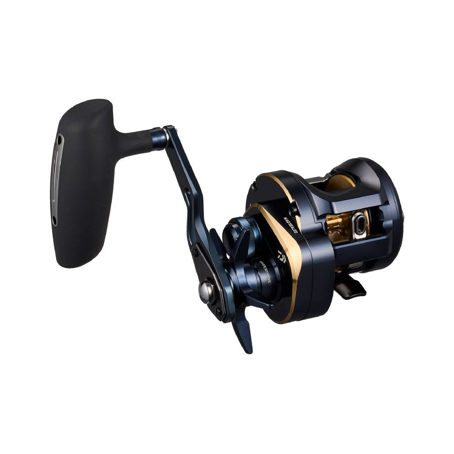 Daiwa 25 Saltiga 300H – Compleat Angler Nedlands Pro Tackle