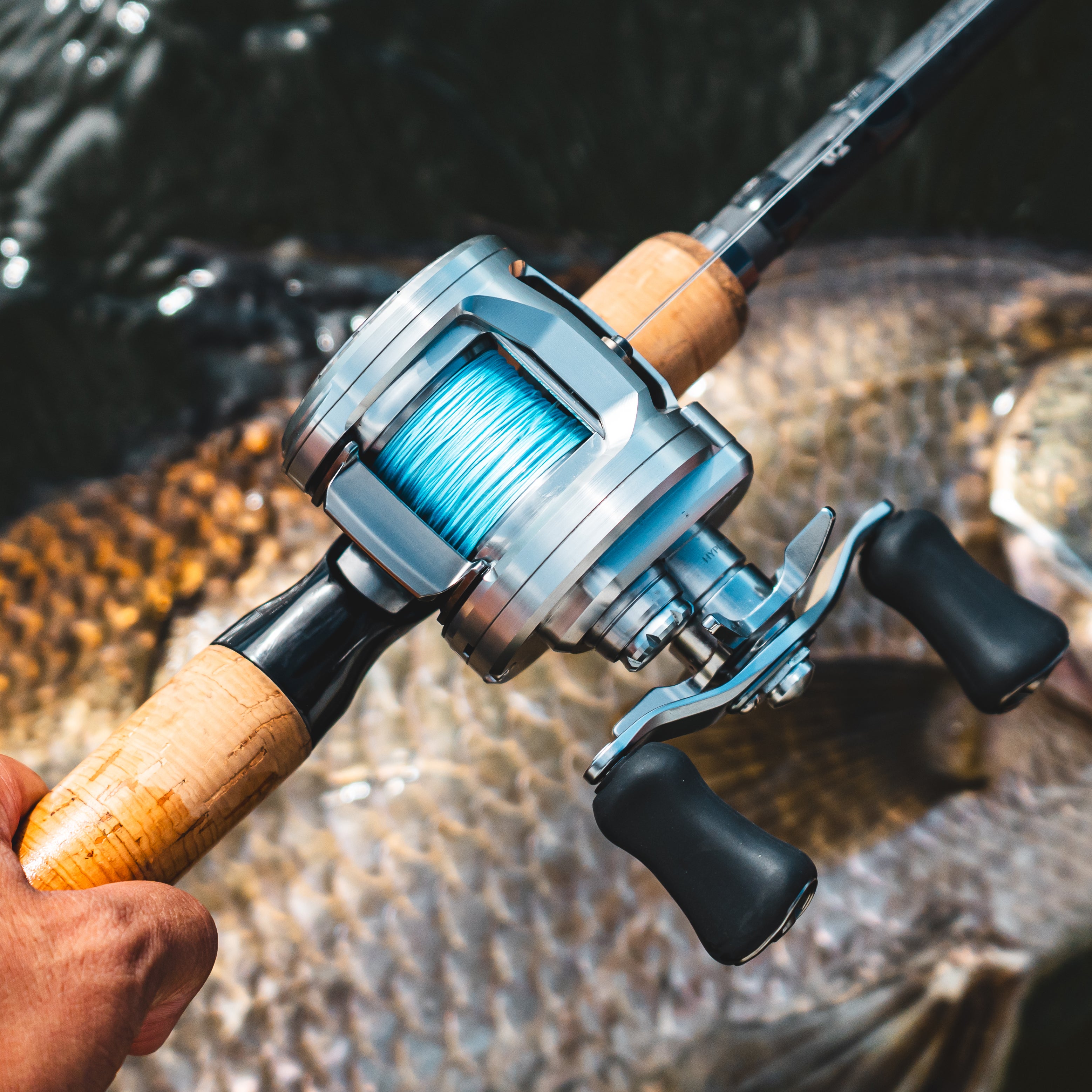 Daiwa 26 Ryoga Top