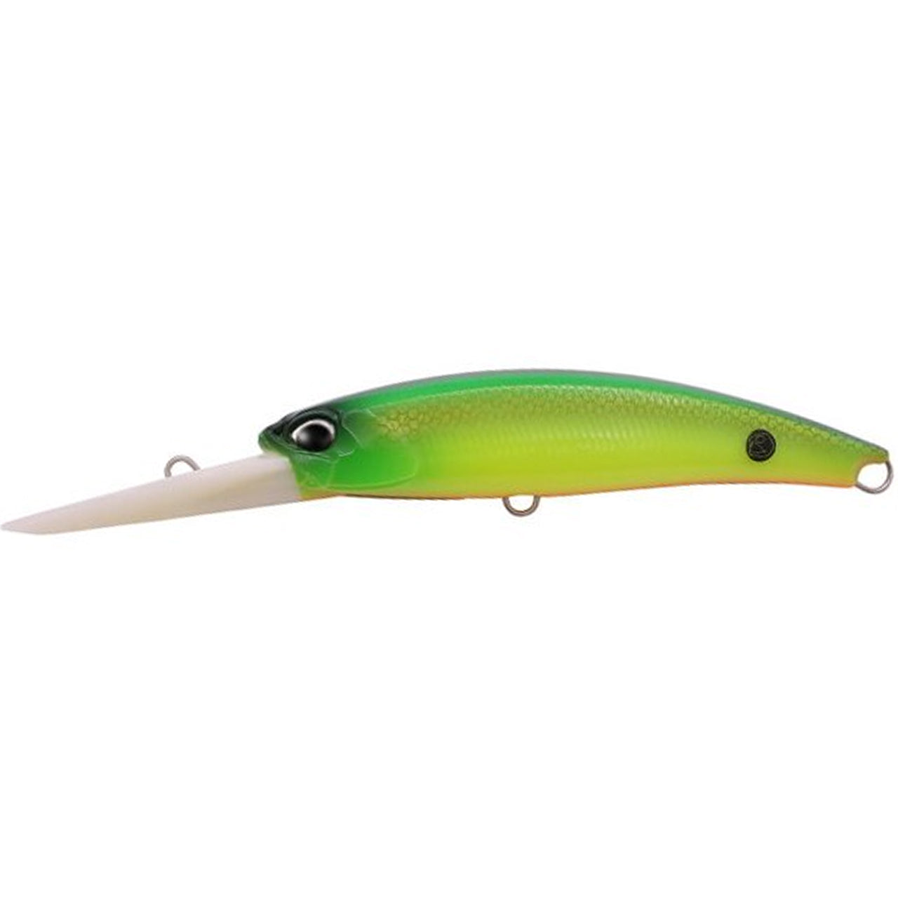 Duo Realis Fangbait 100DR Dragon Z