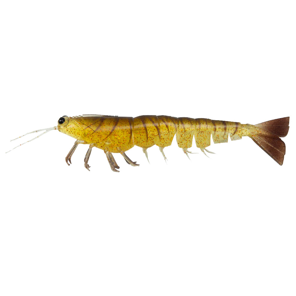 Irukandji Megaprawn 165 24 Cockroach