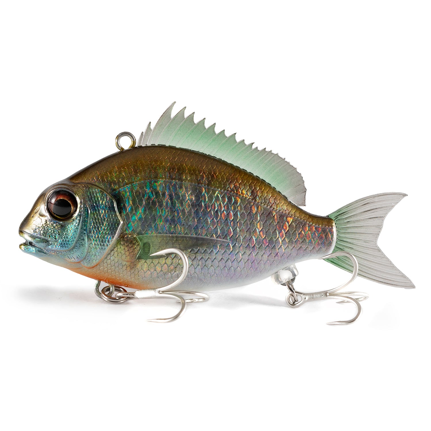 Little Jack Charikom 65 10 Bluegill