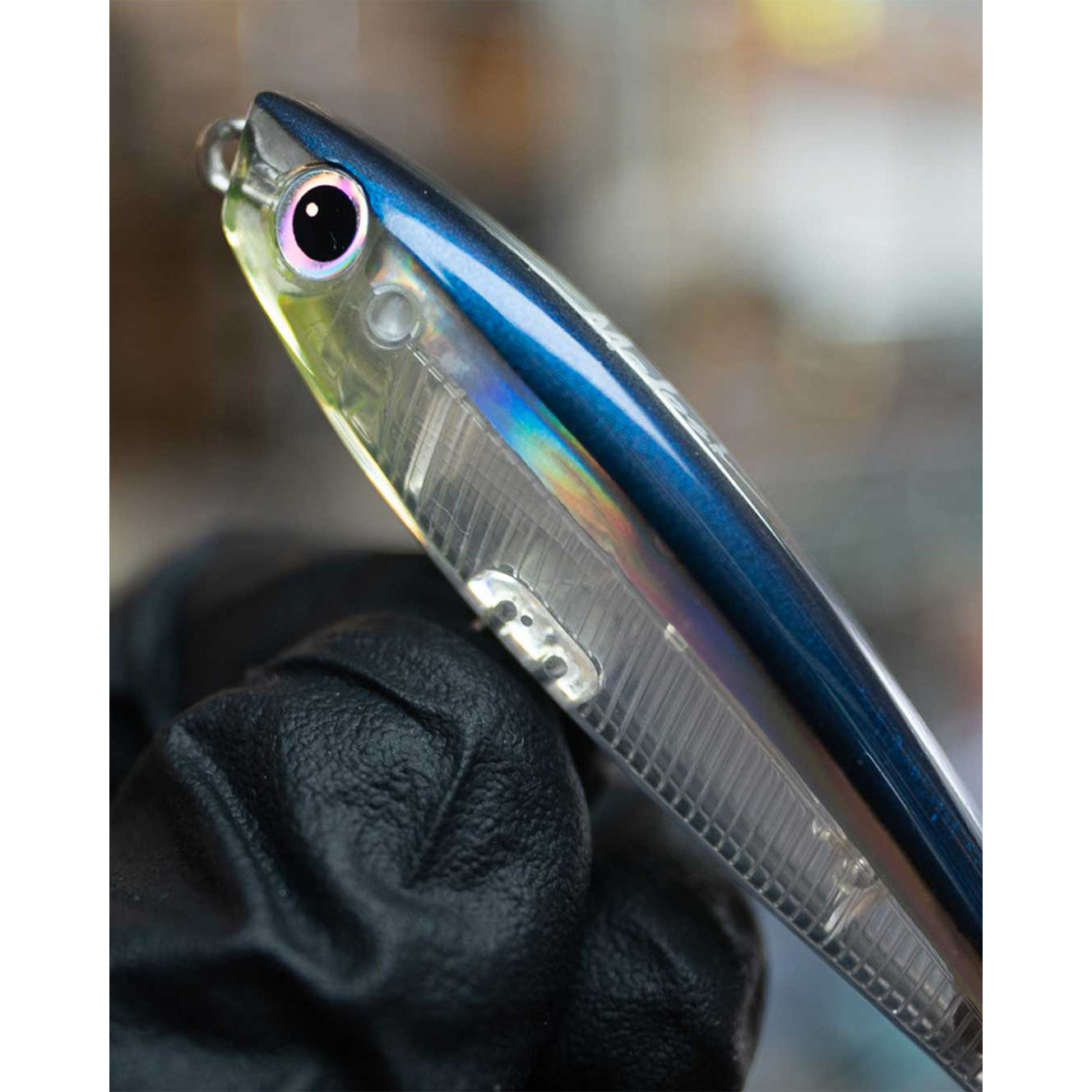 Malosi Studio Echo 65F Cover