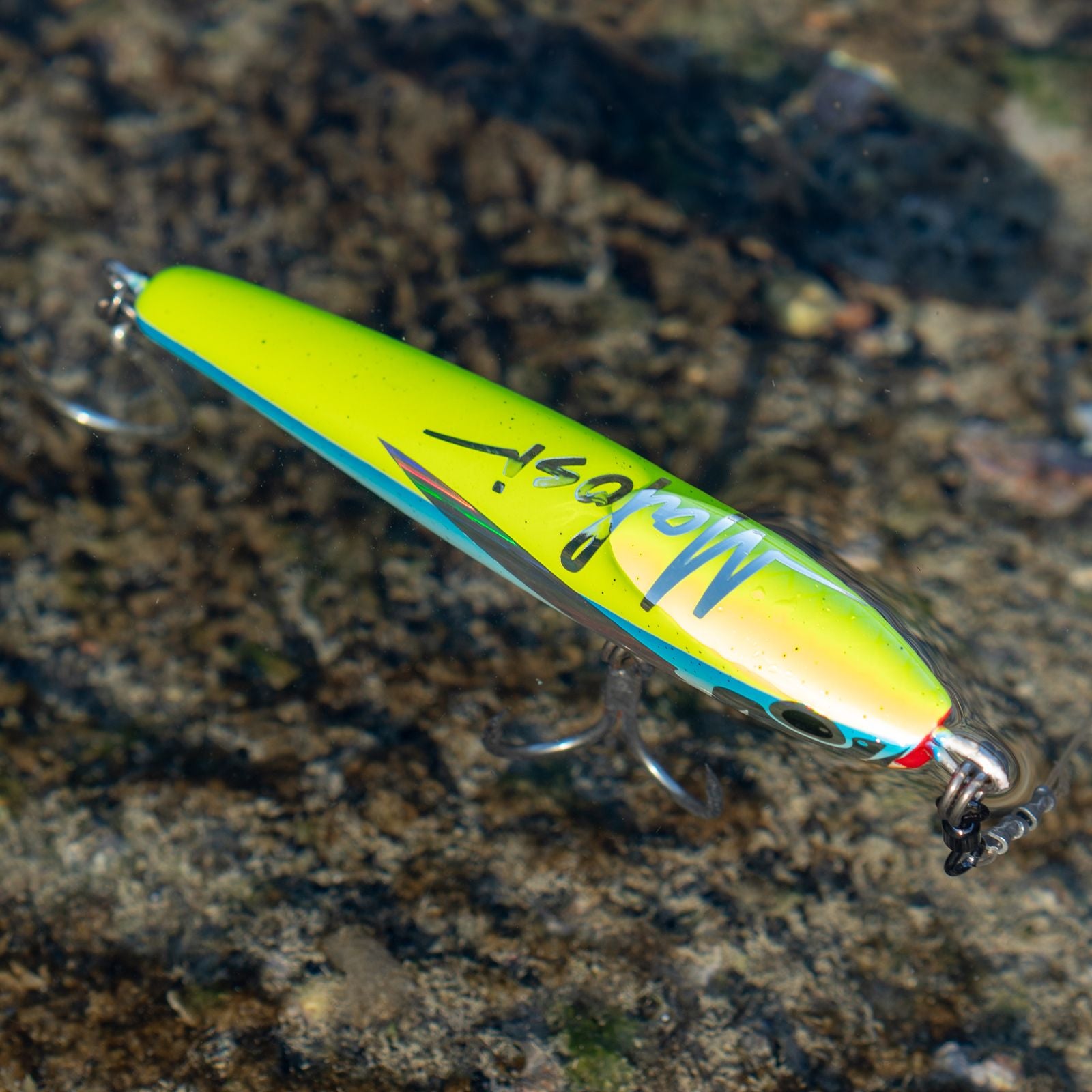 Malosi Studio Staple Series Chieftain 190F Cover