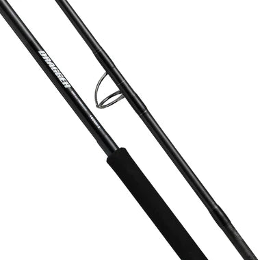 Daiwa 25 Dragger Break Through 100HH close-up