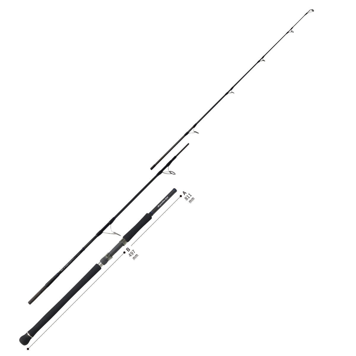 Ripple Fisher Aquila EX 79/3
