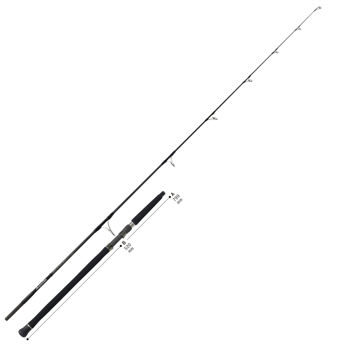 Ripple Fisher Aquila MLT 82-2/4
