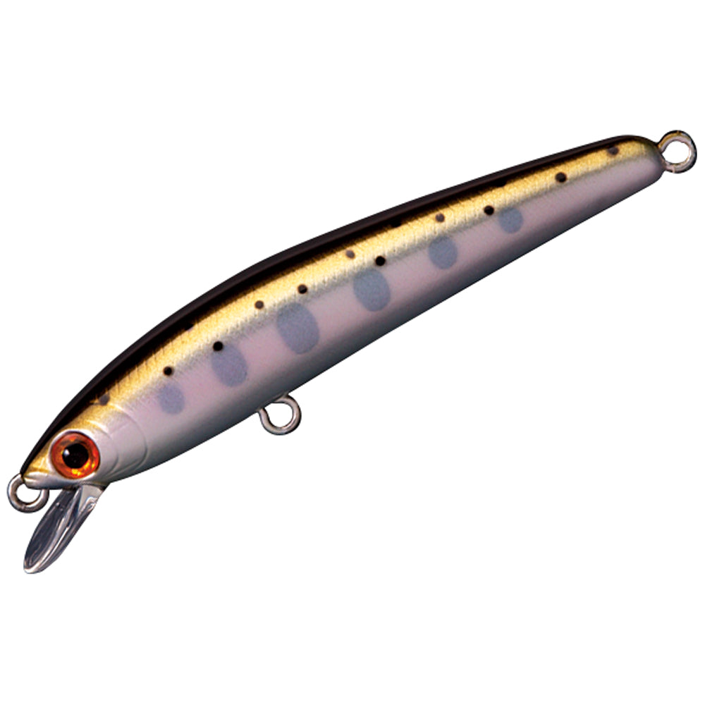 Smith Panish 55F 04