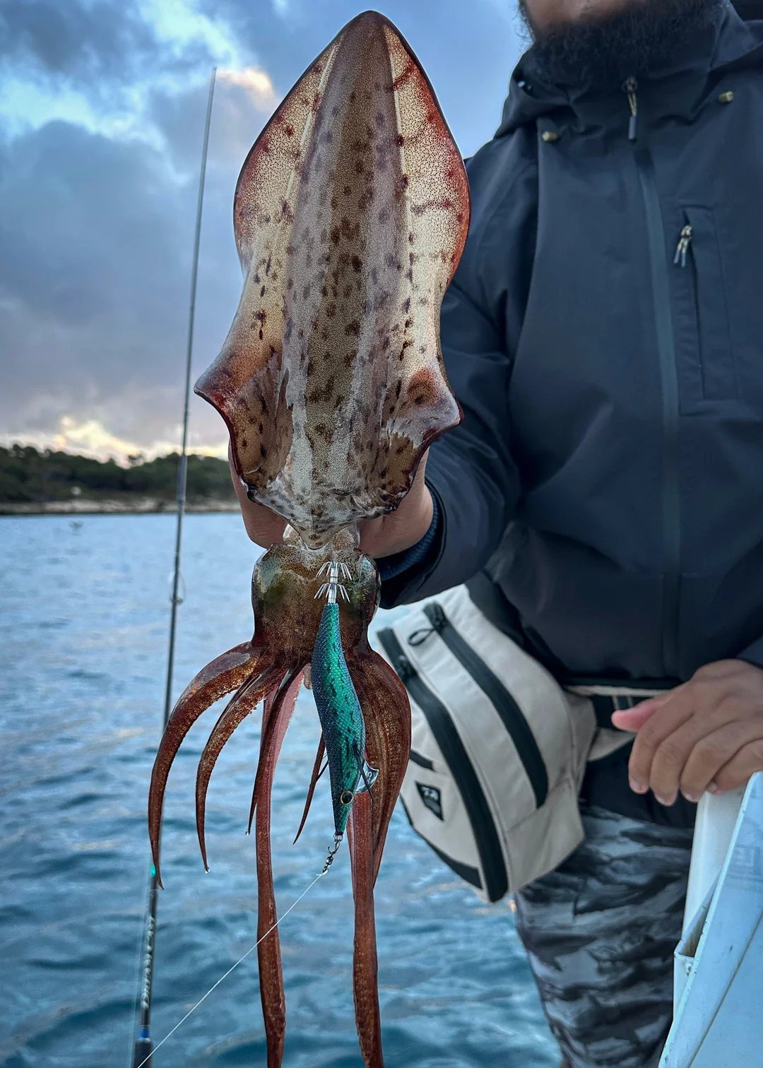 Angler holding up a southern calamari caught on a squid jig from a boat off Perth