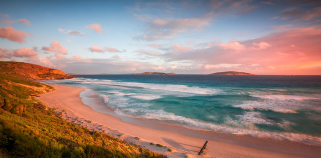 WA Tackle Shop Rebate 2026 — How to Claim Your $50 Back on Fishing Gear