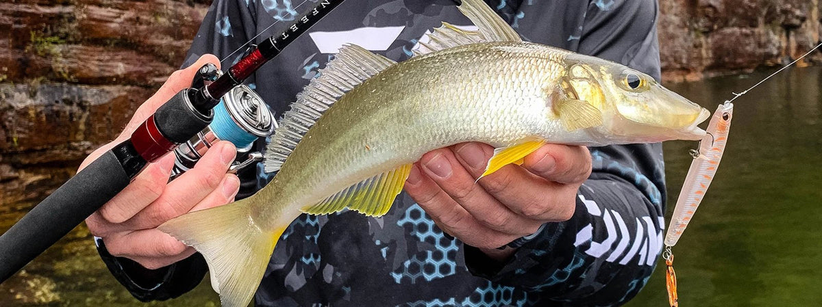 Angler holding a yellowfin whiting and a light spinning rod and reel, with a pink stickbait lure