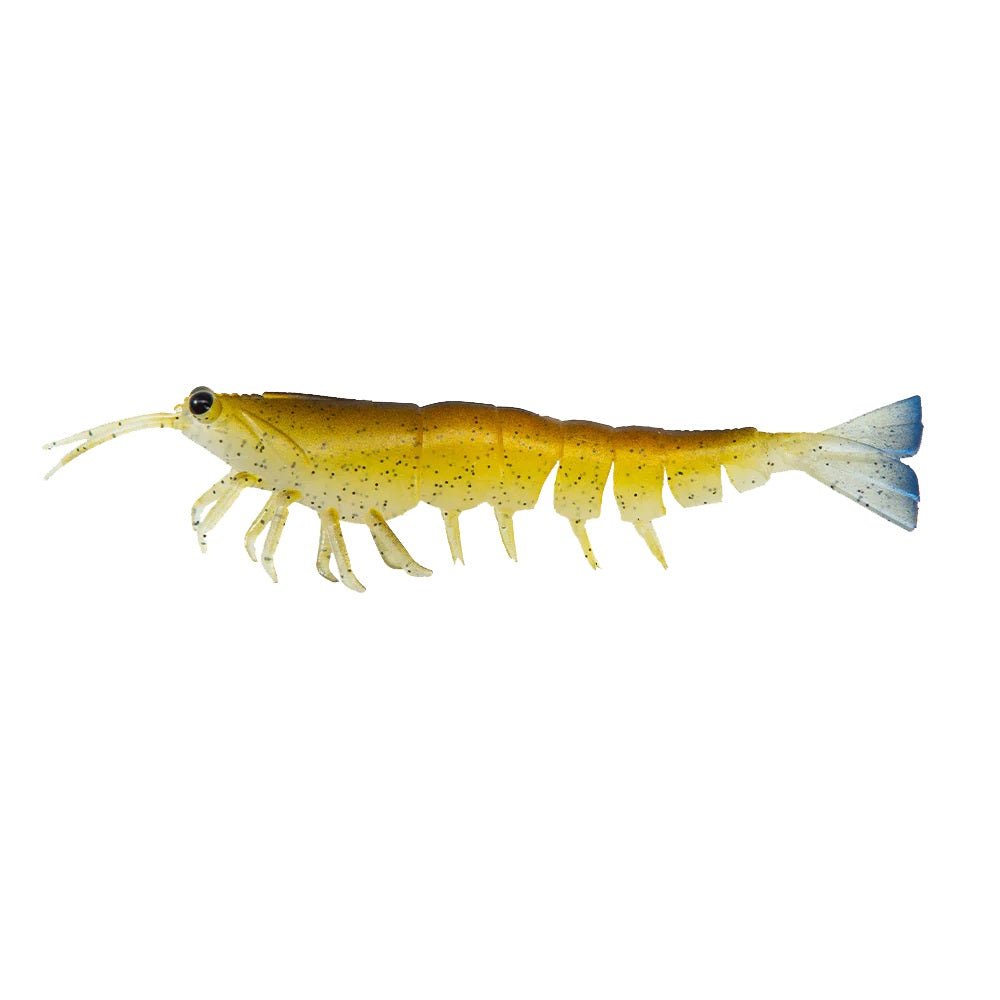 Irukandji