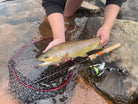 Razor Edge Backwater Revelation BR52UL