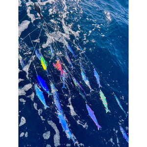 Angler Tackle Dredge Teaser Single Tier 6 Arm - Blue Mackerel Water