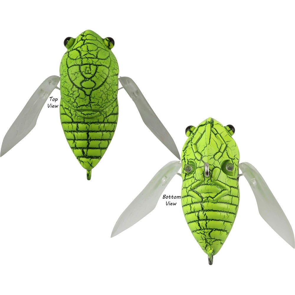 Atomic Hardz Cicada 35 Snake Chartreuse