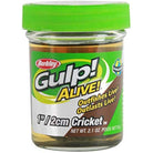 Berkley Gulp Alive 1in Cricket 61g Jar