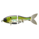 Bucca Trick Shad 6in Pro Herring