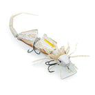 Chasebaits Frill Seeker 175 Bone