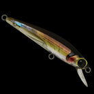 Jollytail