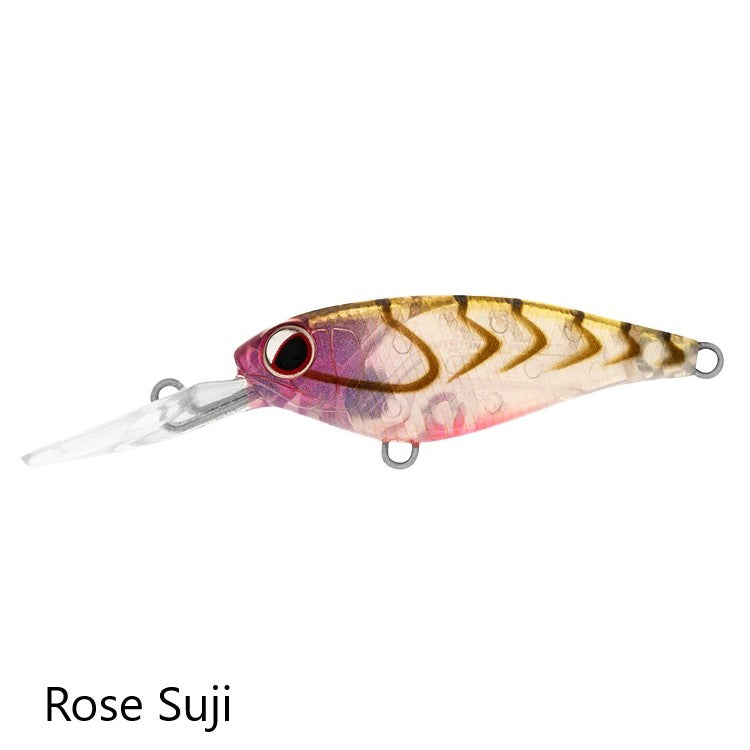 Daiwa Infeet Kodachi 40 SF Rose Suji