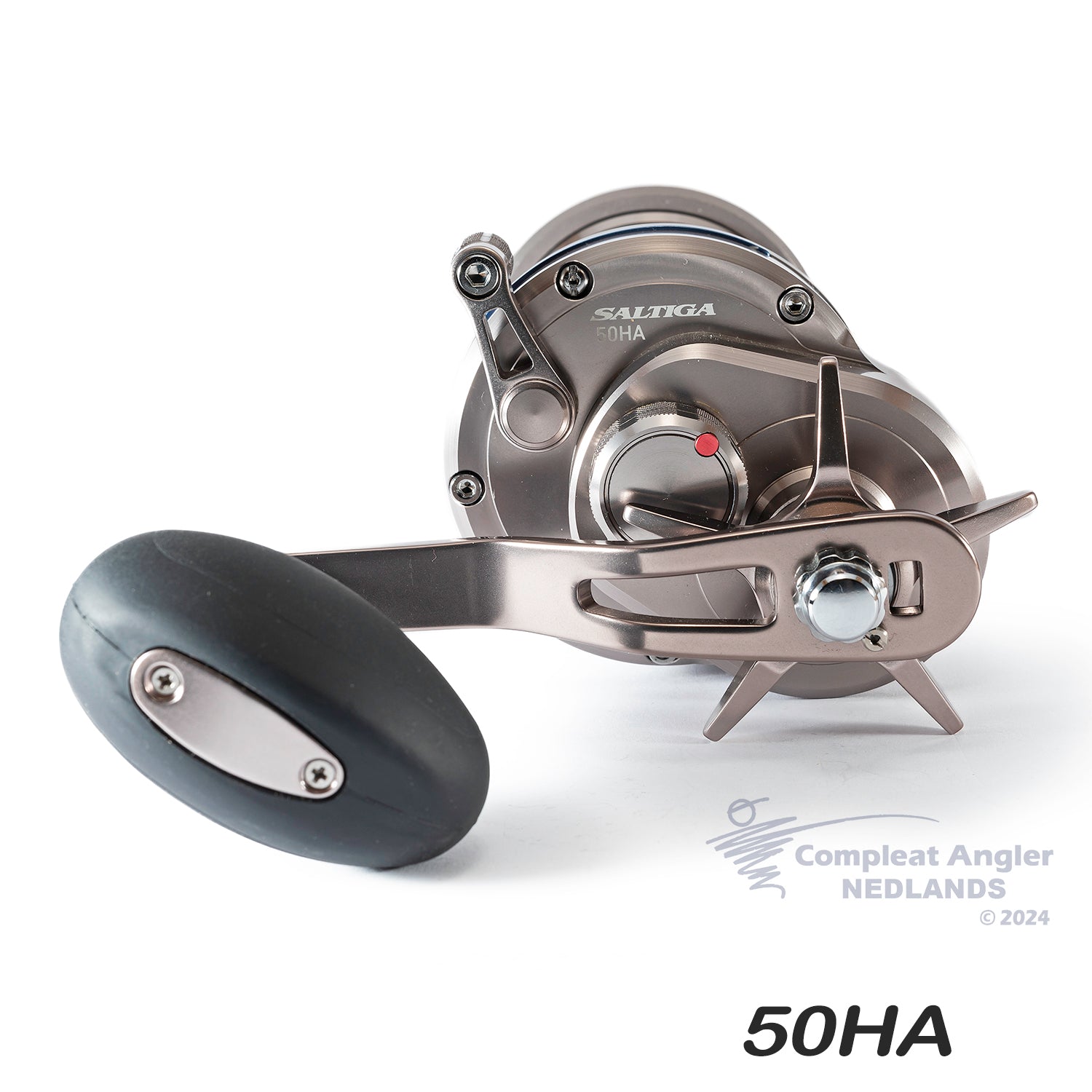 Daiwa 15 Saltiga Star Drag – Compleat Angler Nedlands Pro Tackle