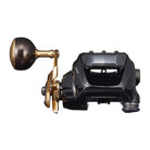 Daiwa 21 Seaborg G300J Front