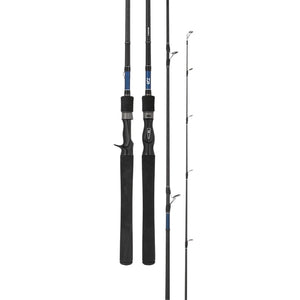 Daiwa 21 Tierra Baitcast