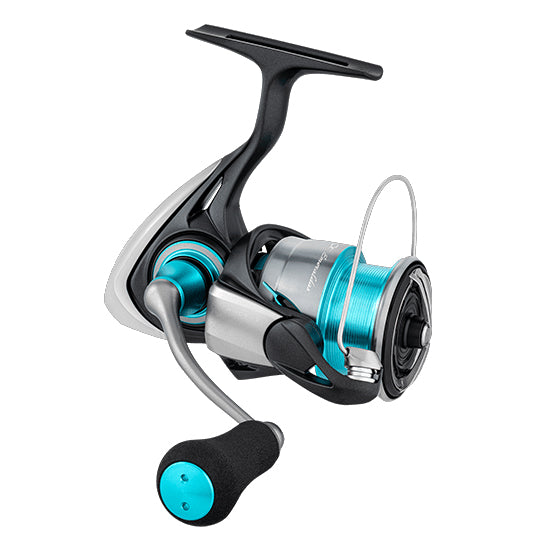 Daiwa 24 Emeraldas X