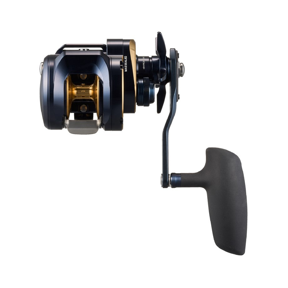 Daiwa 25 Saltiga 300H Top