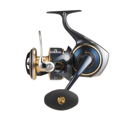 Daiwa 25 Saltiga 8000-H