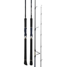 Daiwa Daiwa 25 Saltiga LC