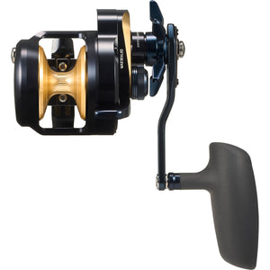 Daiwa 25 Saltiga SD 10 Top