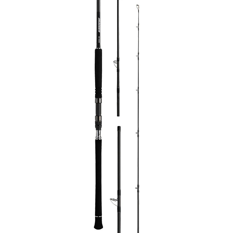 Daiwa 25 Seaborg DG