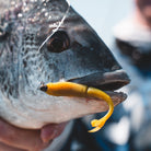 Daiwa Bait Junkie Flick 2.95in Cover
