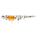 Daiwa Bait Junkie Prawn 2.35in Nipper UV