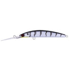 Daiwa Double Clutch 115 EXDR Show Finch
