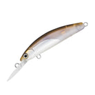 Daiwa Double Clutch 48SP Chrome Belly