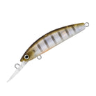Daiwa Double Clutch 48SP Ghost Perch