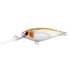 Daiwa Infeet Kodachi 40 SF Adel Rice Fish