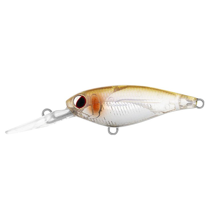 Daiwa Infeet Kodachi 40 SF Adel Rice Fish