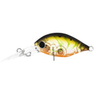 Daiwa Infeet Rollin Crank 32DR-SF Risky Suji