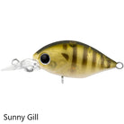 Daiwa Infeet Rollin Crank MR Sunny Gill