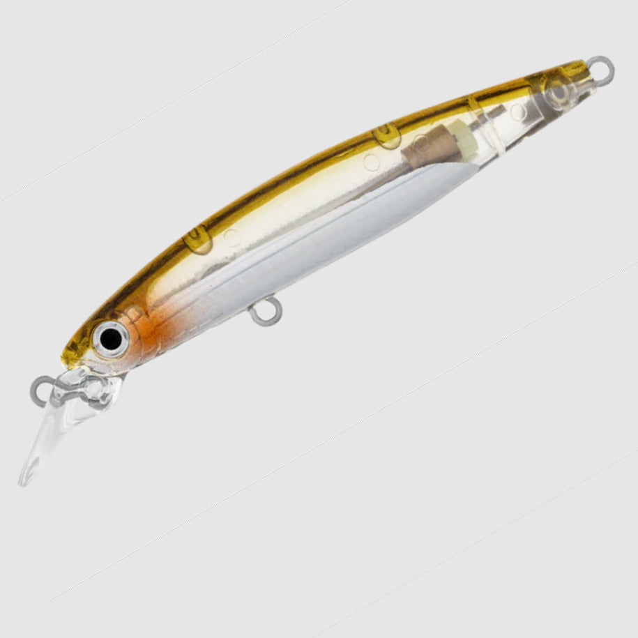 Daiwa Infeet Sazanami 60SP Adel Rice Fish