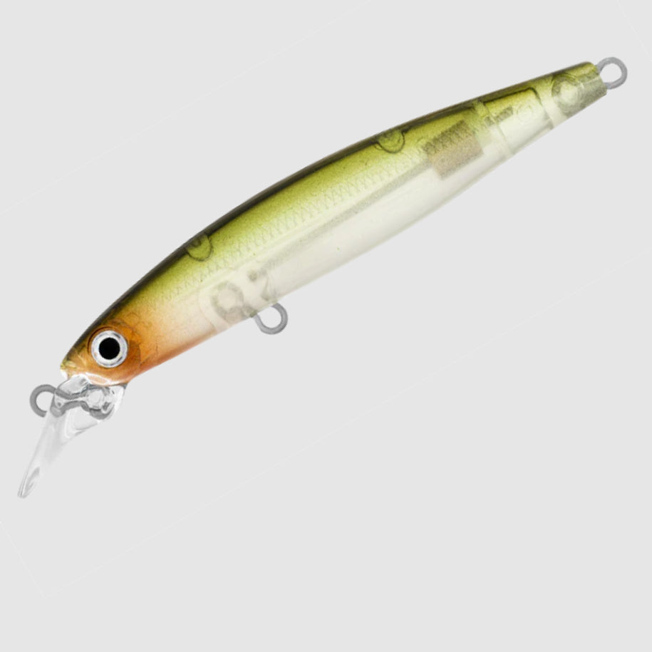 Daiwa Infeet Sazanami 60SP Ghost Ayu