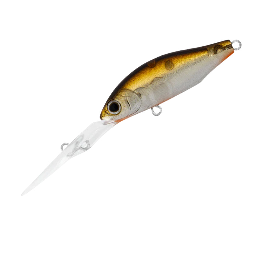 Daiwa Infeet Spike 44 EXDR Adel Tannin Flash