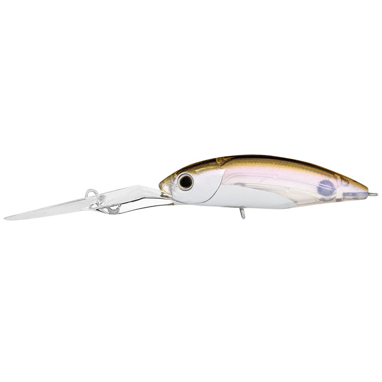 Daiwa Infeet Spike 53EXDR Chrome Belly